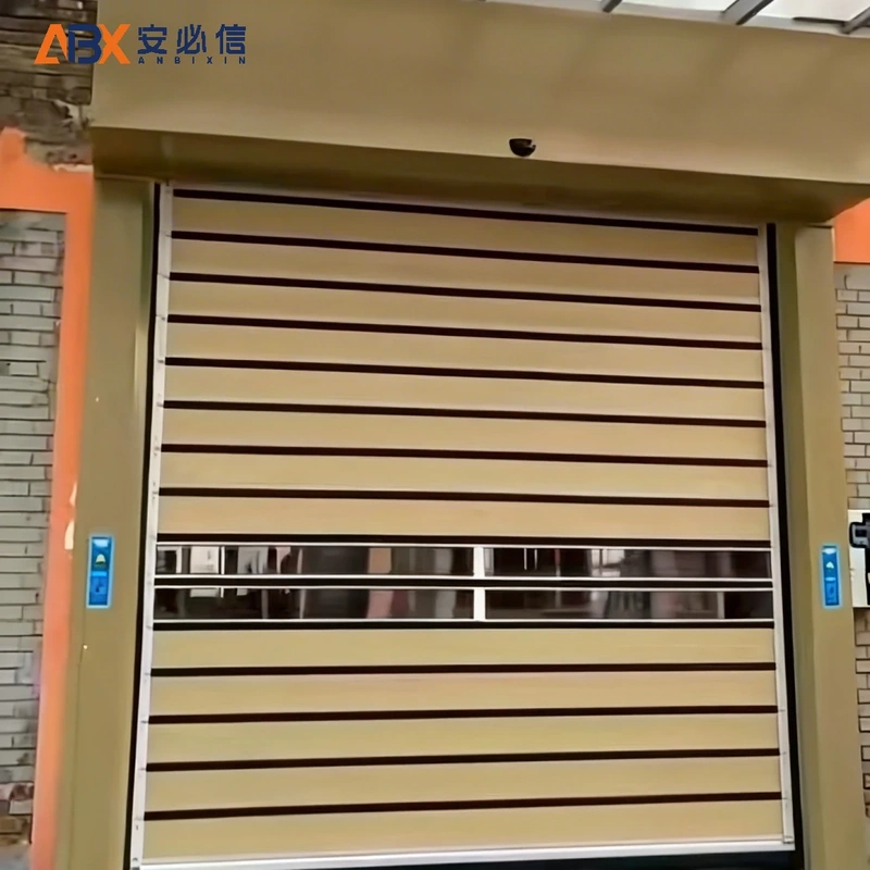 林芝市感应高速门